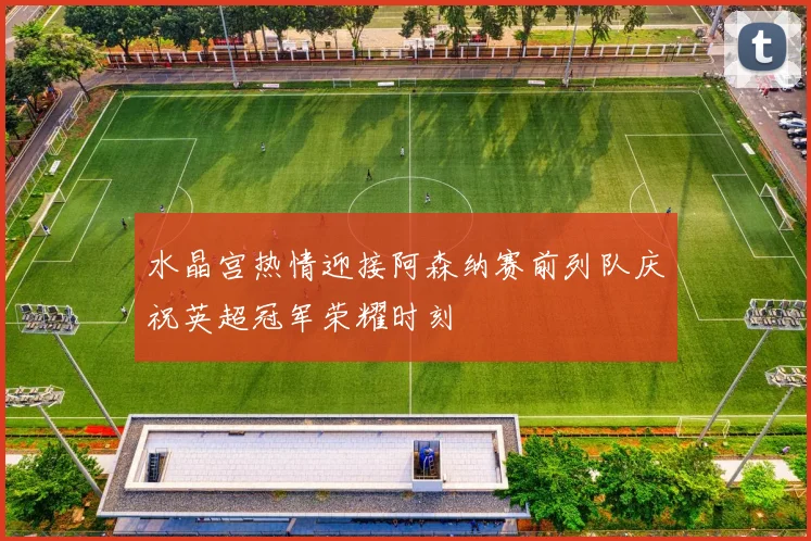水晶宫热情迎接阿森纳赛前列队庆祝英超冠军荣耀时刻