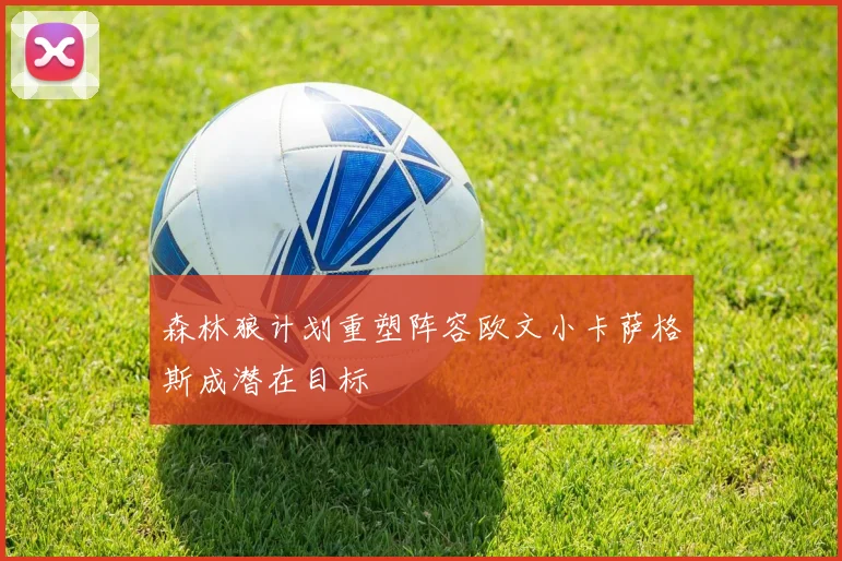 森林狼计划重塑阵容欧文小卡萨格斯成潜在目标